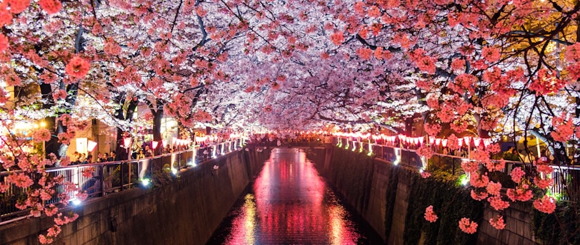 Navigating Japan's Visa Application Process: A Comprehensive Guide